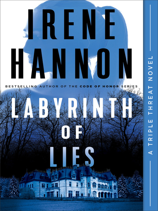 Title details for Labyrinth of Lies by Irene Hannon - Available